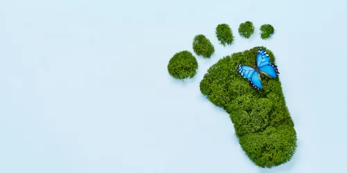 Footprint that is filled in with grass with a butterfly on it.